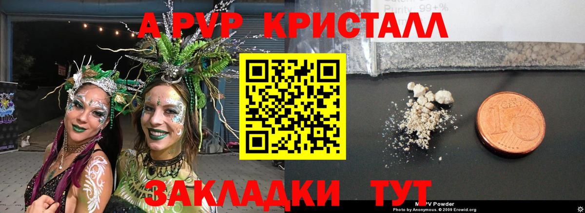 A-PVP СК Назрань