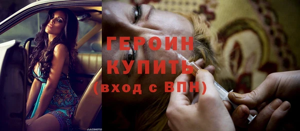 индика Медвежьегорск