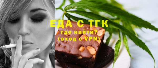 индика Медвежьегорск