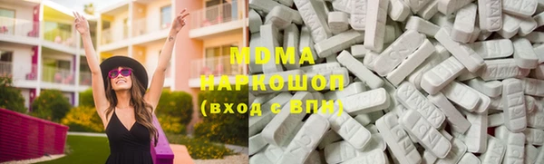 индика Медвежьегорск