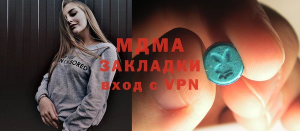 индика Медвежьегорск