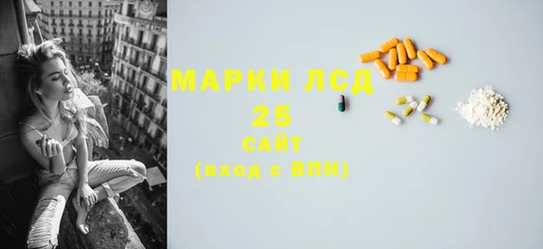 индика Медвежьегорск