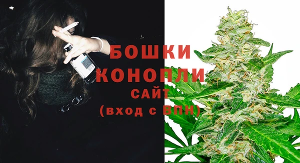 индика Медвежьегорск
