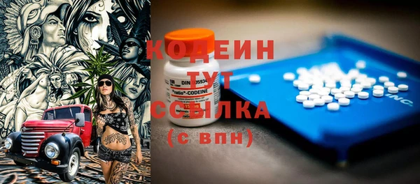 индика Медвежьегорск