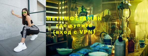 индика Медвежьегорск