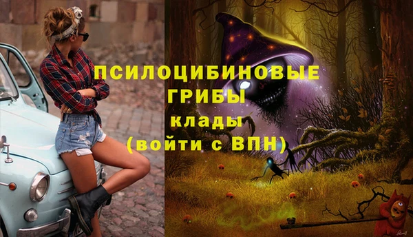бутират Медногорск