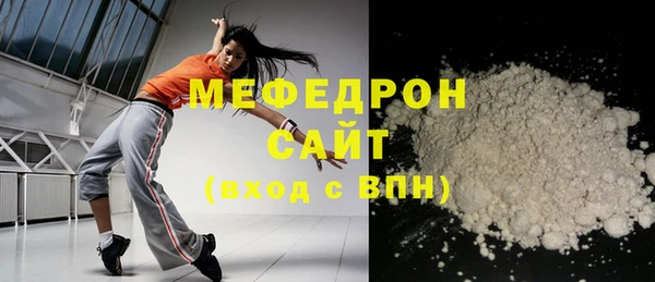 индика Медвежьегорск