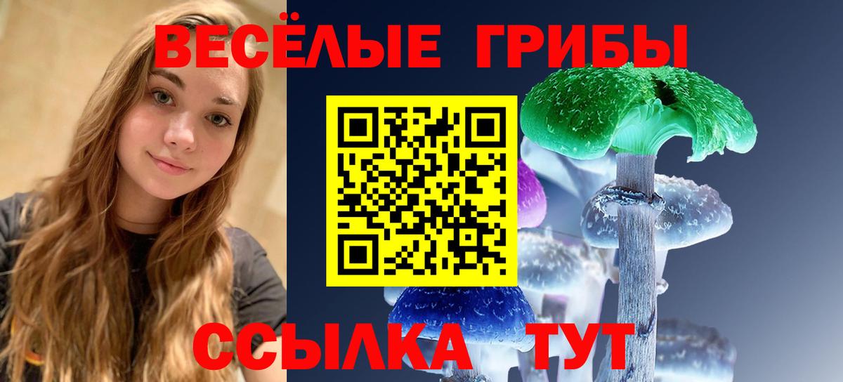 Галлюциногенные грибы GOLDEN TEACHER  Вход с VPN  Галлюциногенные грибы Psilocybe  Назрань 
